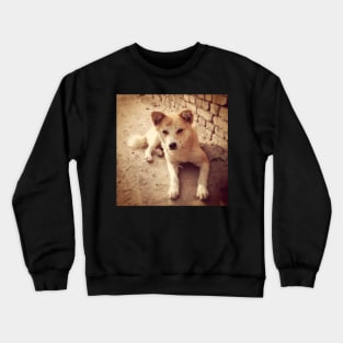 Street Dog of Kathmandu Crewneck Sweatshirt